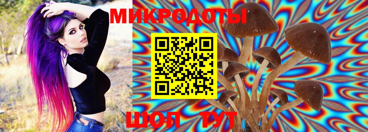 Псилоцибиновые грибы Psilocybine cubensis Соликамск